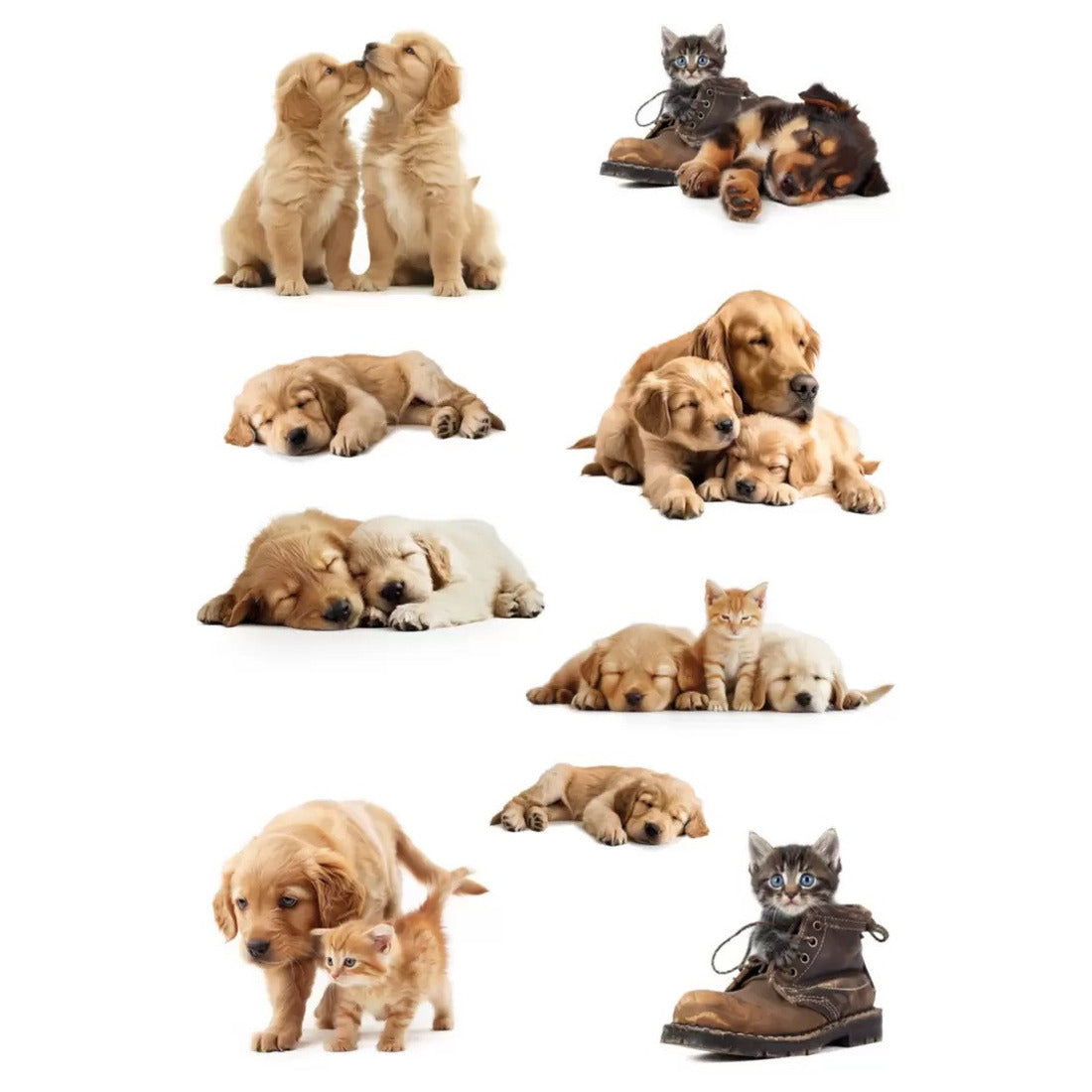 stickers-honden-en-katten-27x-puppy-en-poezen-dieren-stickers-_10139658-1