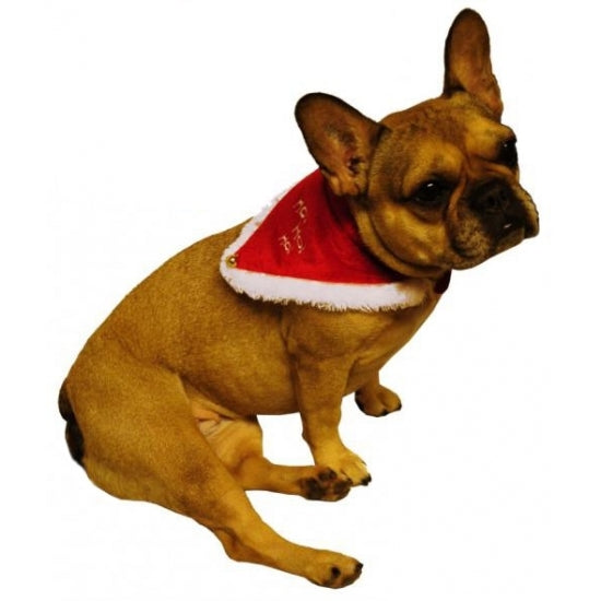 kerst-sjaal-halsband-rood-voor-hond-of-kat_10077673