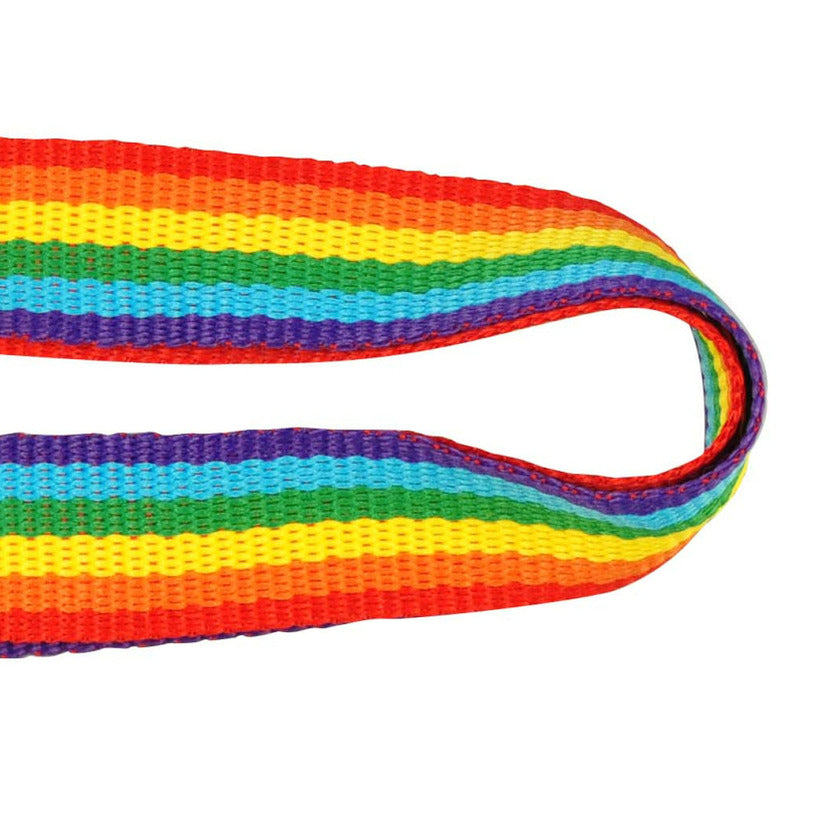keycord-in-regenboog-vlag-kleuren-sleutelhanger-polyester_10045674-3