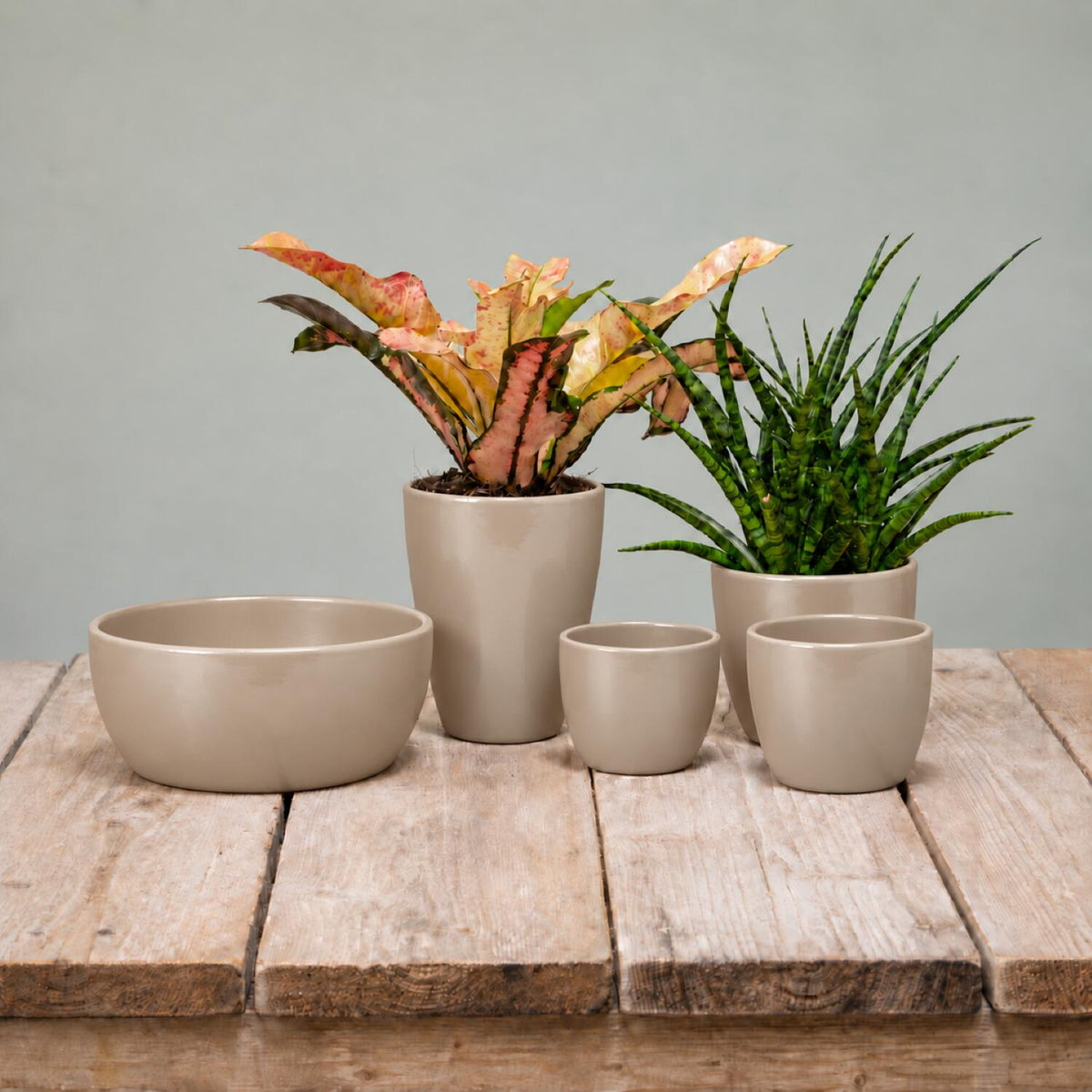 floran-plantenpot-boule-taupe-keramiek--d32-x-h27-cm_10279676-11