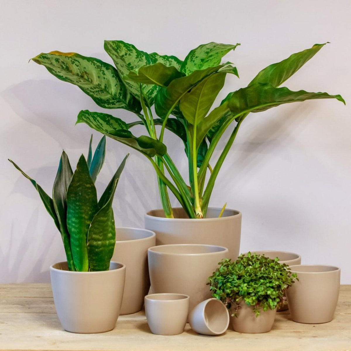 floran-plantenpot-boule-taupe-keramiek--d32-x-h27-cm_10279676-4