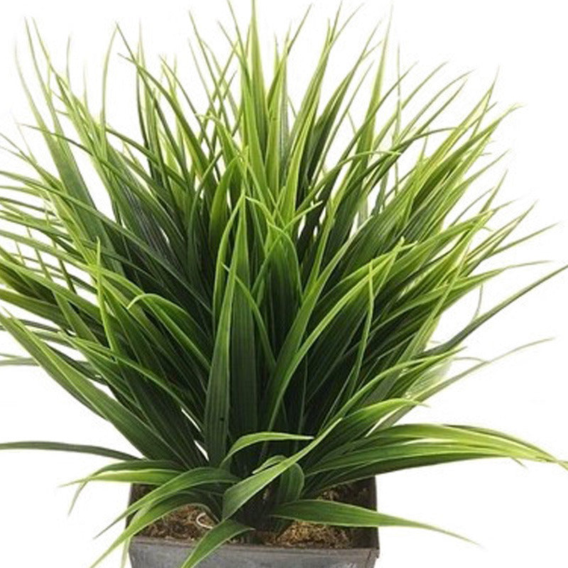 grasplant-in-zwarte-zinken-pot-30-cm-kamerplant-kunstplanten-nepplanten_10087738-2