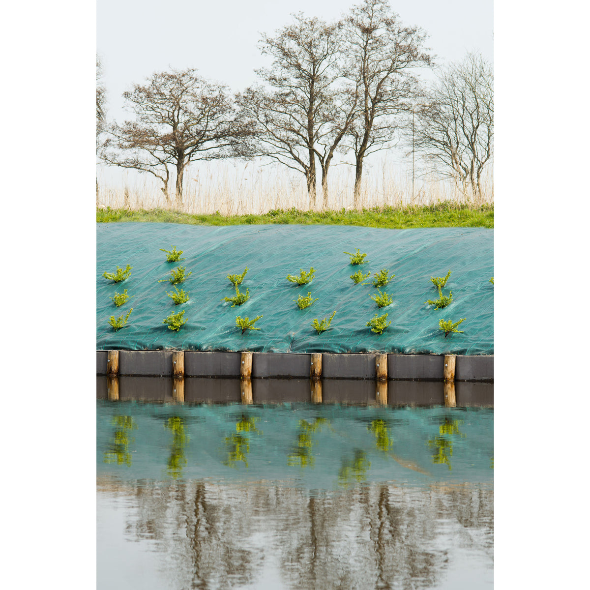 gronddoek-worteldoek-anti-onkruid-groen-200-x-500-cm-90-grams_10397758-2