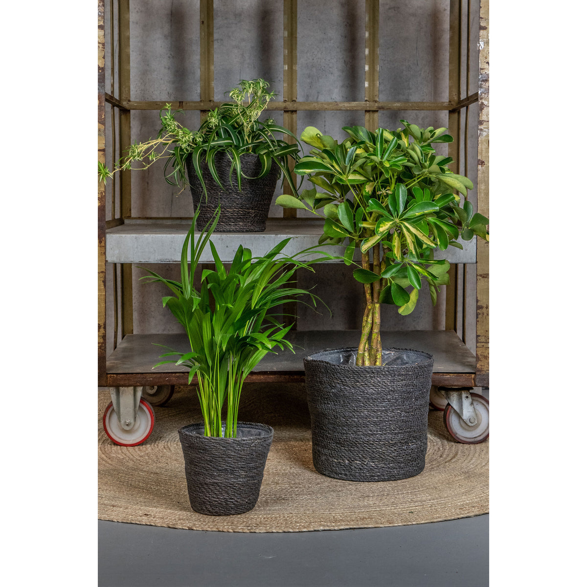 plantenpot-bloempot-van-jute-zeegras-diameter-22-cm-en-hoogte-19-cm-grijs_10306771-2