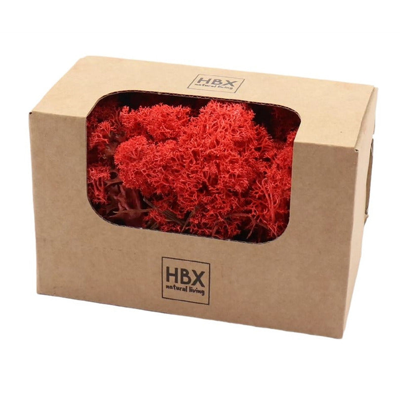 hbx-natural-living-decoratie-mos-rood-50-gram-rendiermos-hobby_10415783