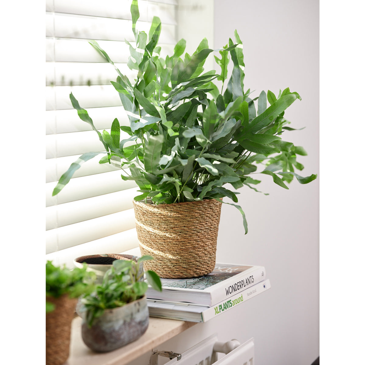 steege-plantenpot-beige-gevlochten-zeegras-d22-x-h19-cm-plastic-binnenkant_10306788-2
