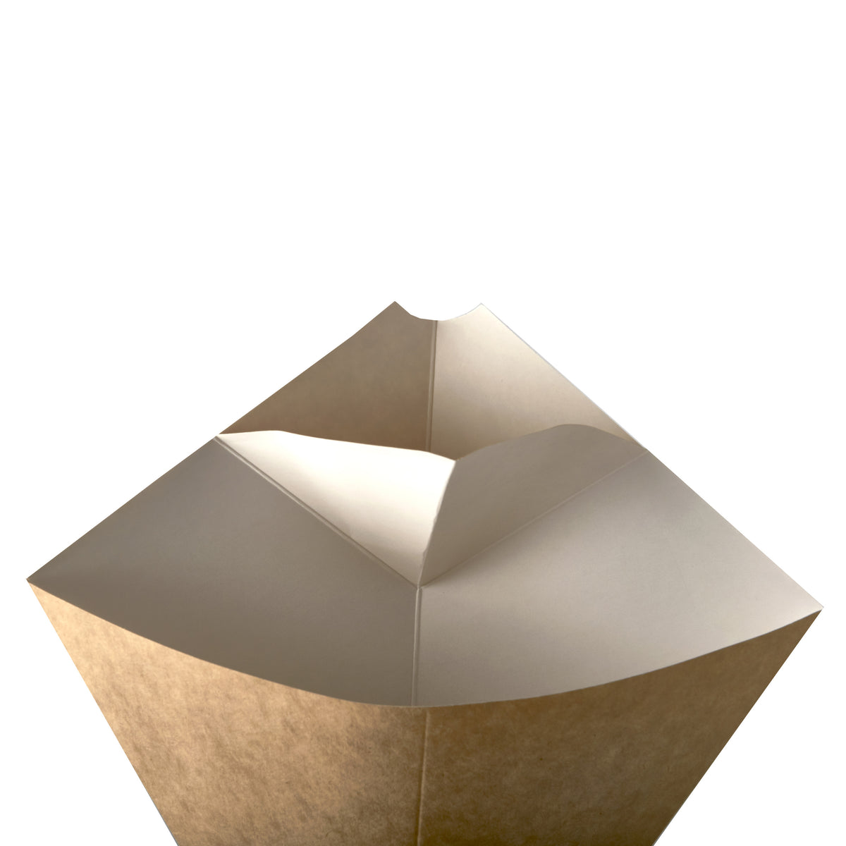 frietzakken-patatzakken-puntzakken-50x-stuks-karton-met-saushouder-27-x-21-cm-300-gram_10463816-2
