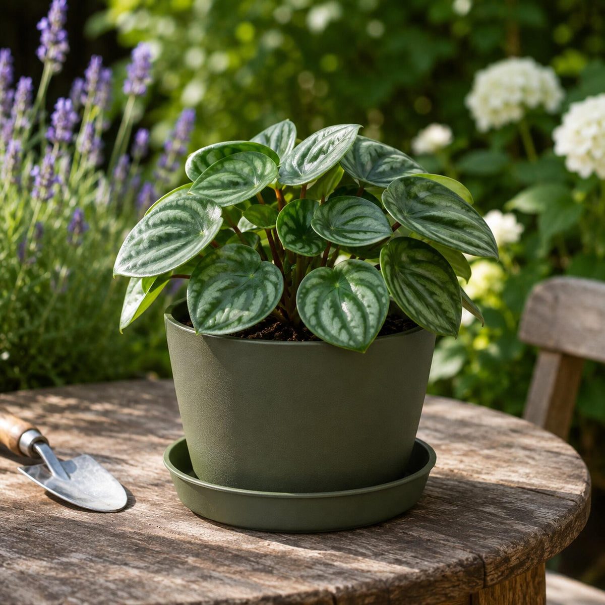 pro-garden-plantenpot-onder-schotel-opvang-schaal-donkergroen-dia-29-cm-kunststof-rond_10499816-4