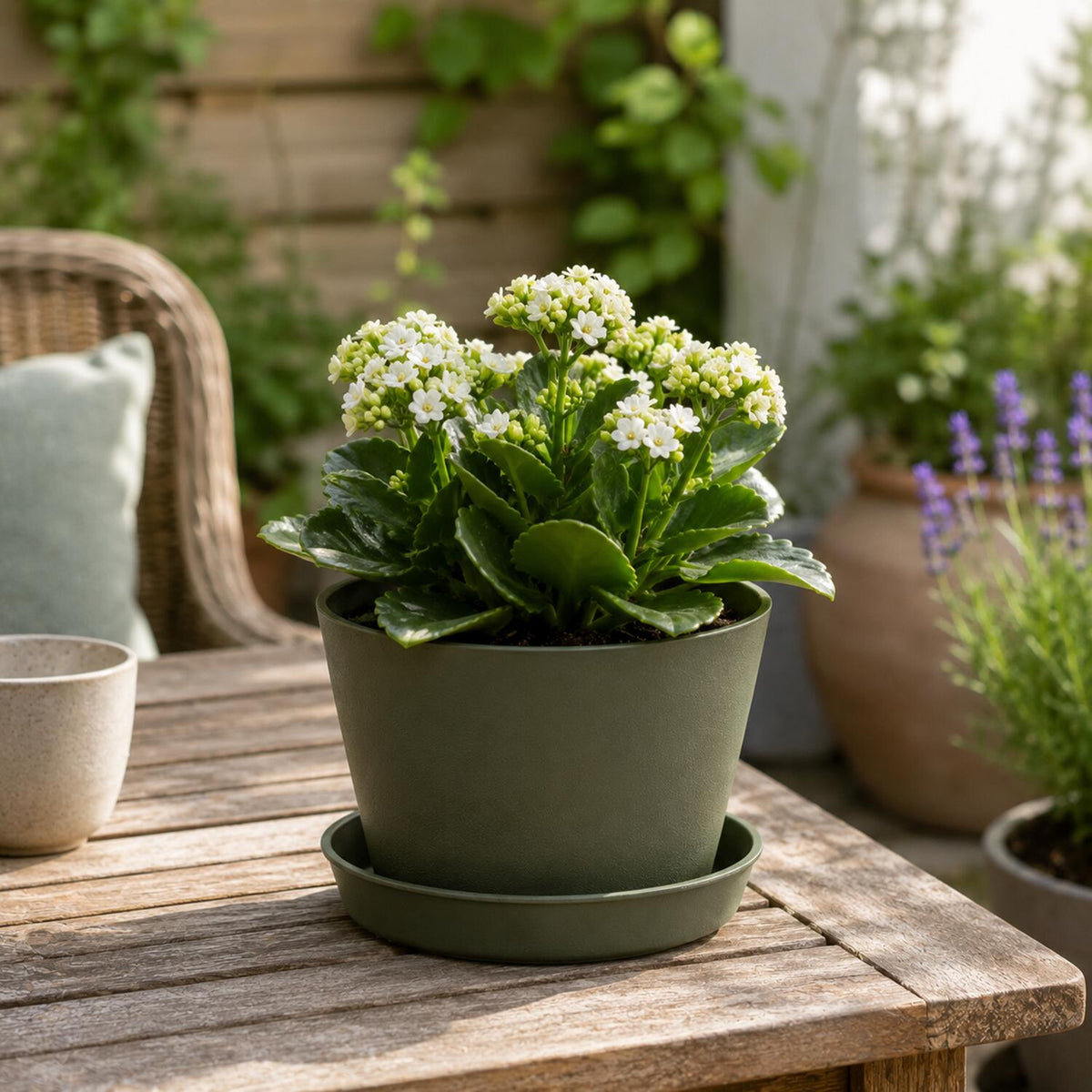 pro-garden-plantenpot-onder-schotel-opvang-schaal-donkergroen-dia-29-cm-kunststof-rond_10499816-6