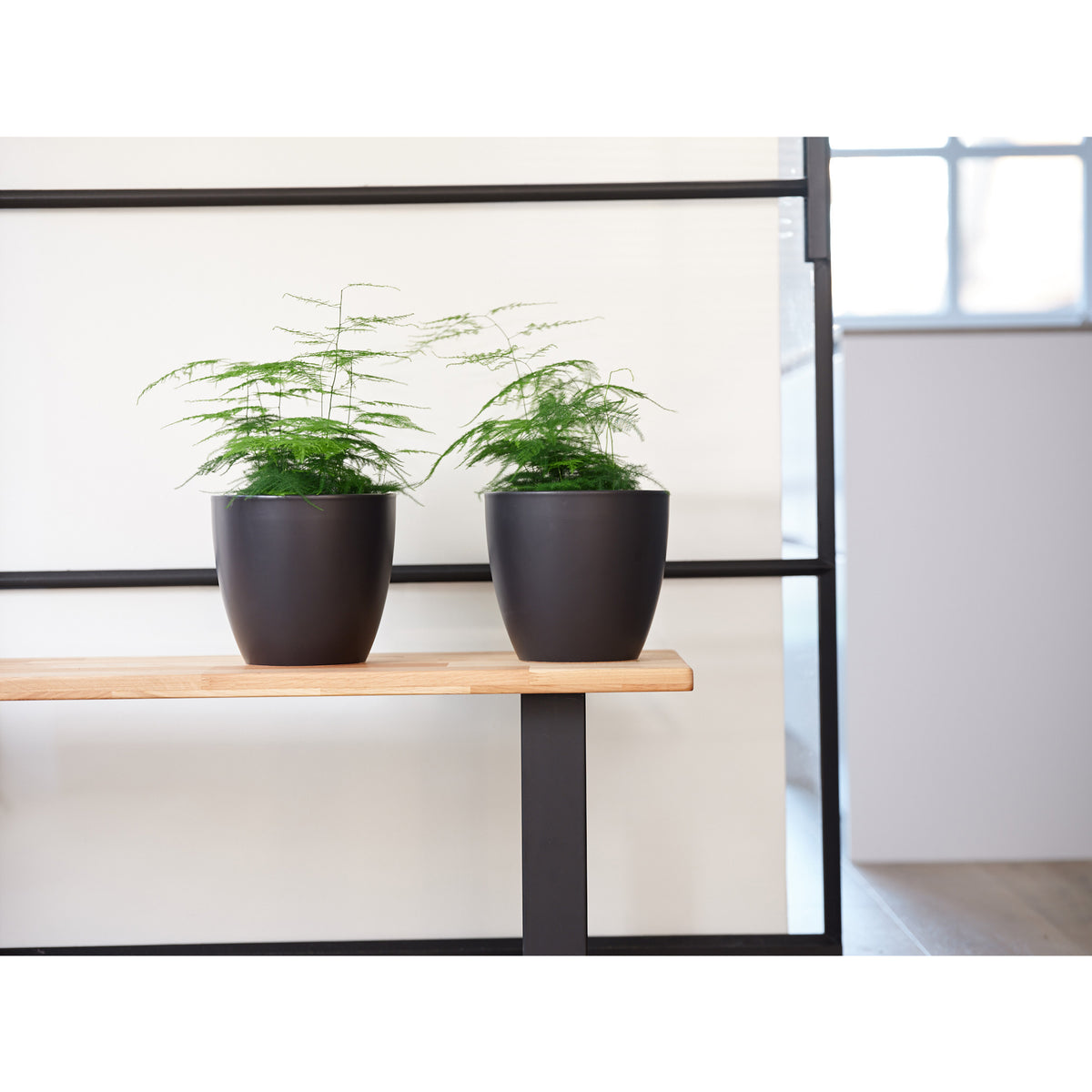 ter-steege-bloempot-zwart-scandinavisch-13-x-11-cm_10342838-1