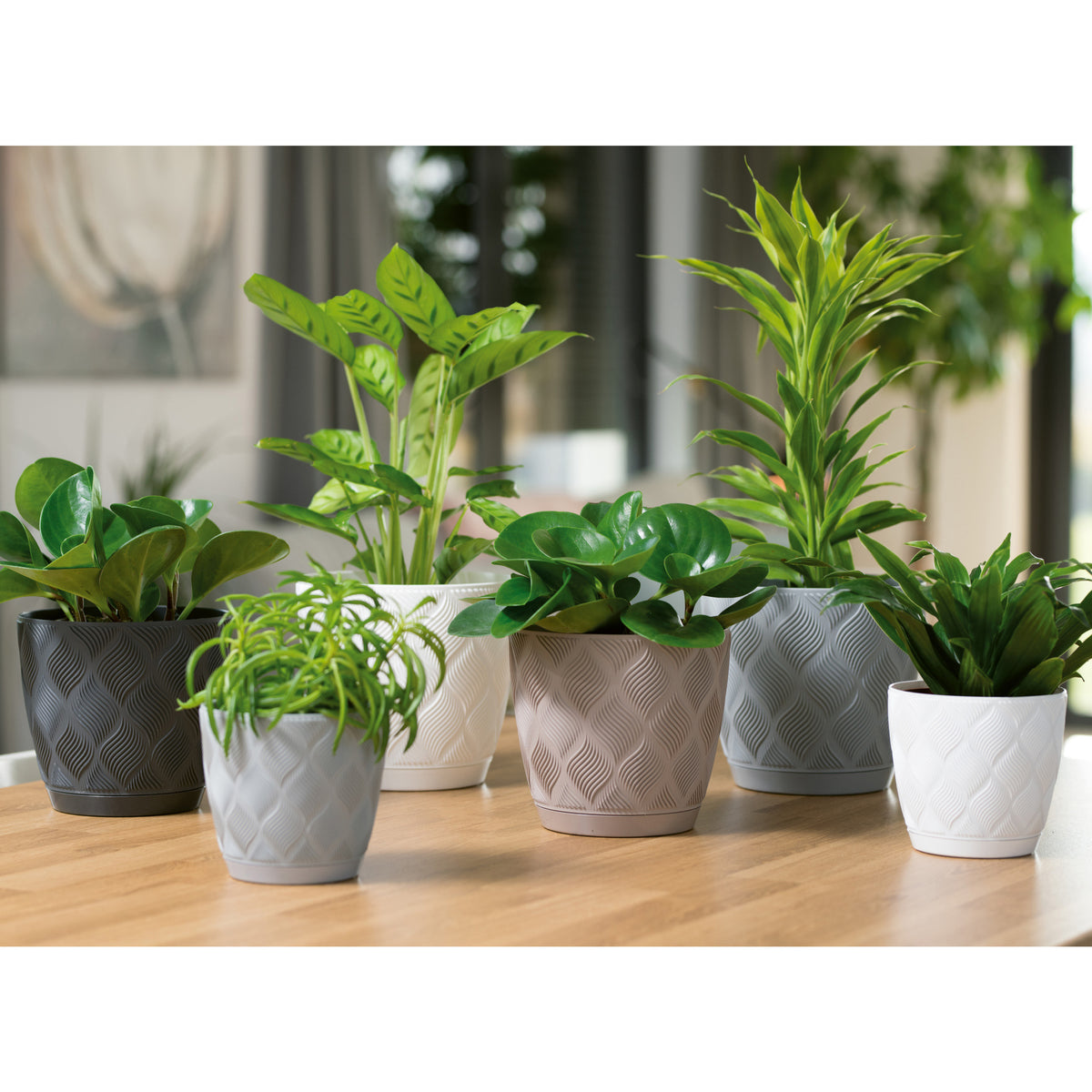 form-plastic-plantenpot-set-new-age-3x-stuks-kunststof-zwart-met-schotel_10446859-1