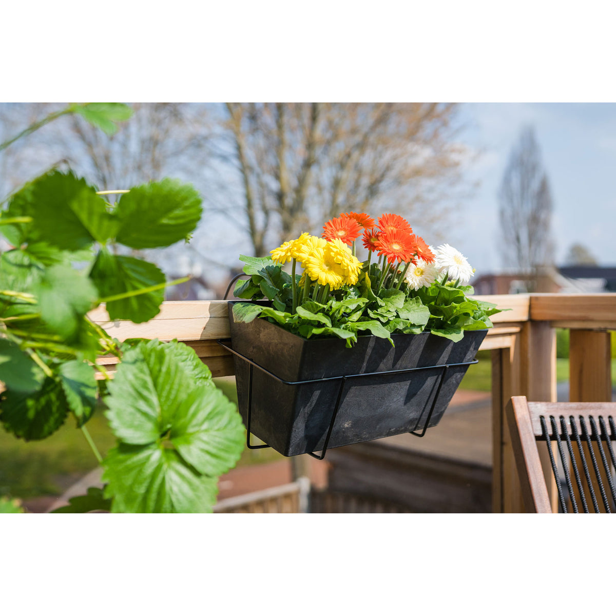 ter-steege-plantenbak-gerecycled-kunststof-zwart-74-x-17-cm-binnen-en-buiten-gebruik_10291869-2