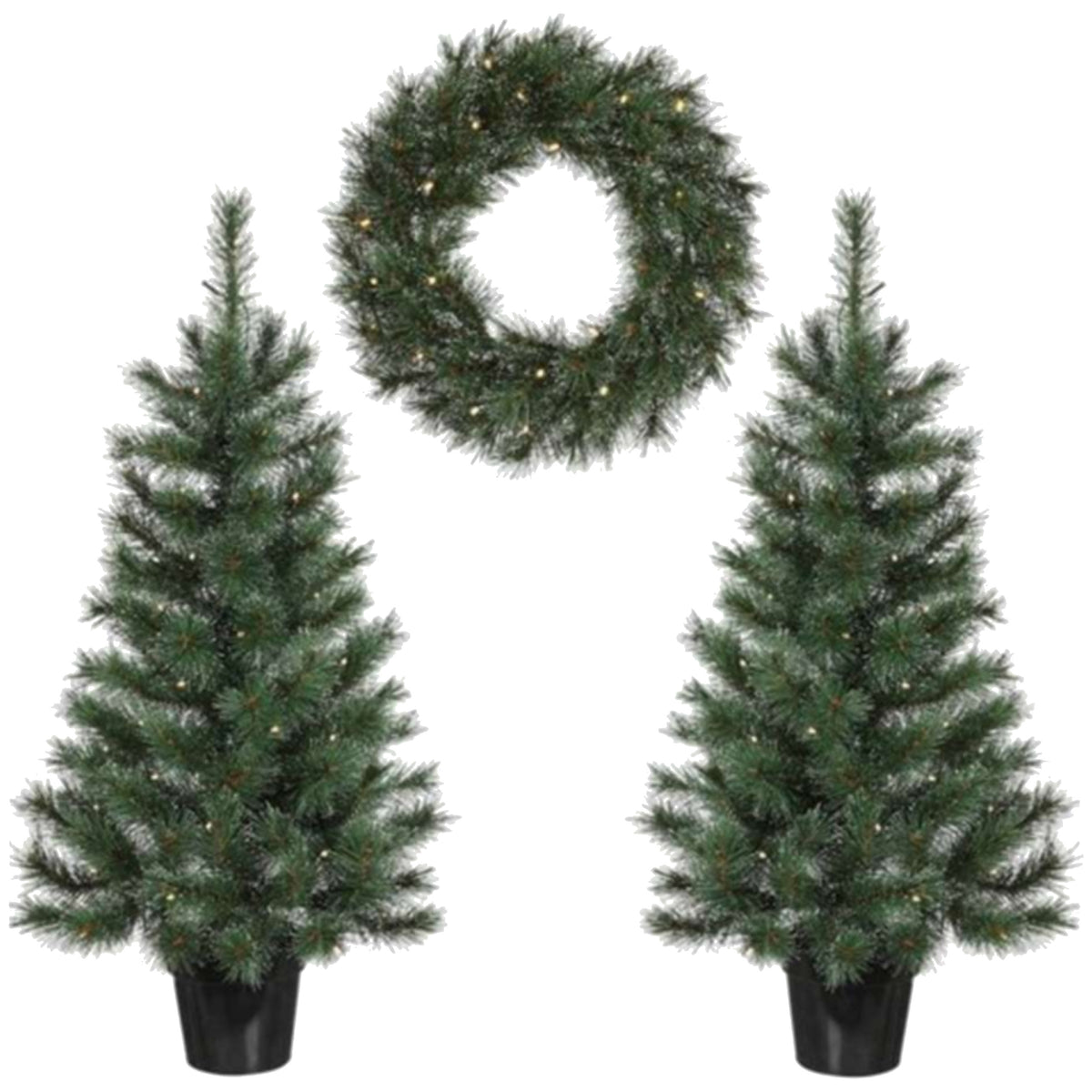 black-box-set-kerstboompjes-2x-incl-kerstkrans-groen_10139894-1