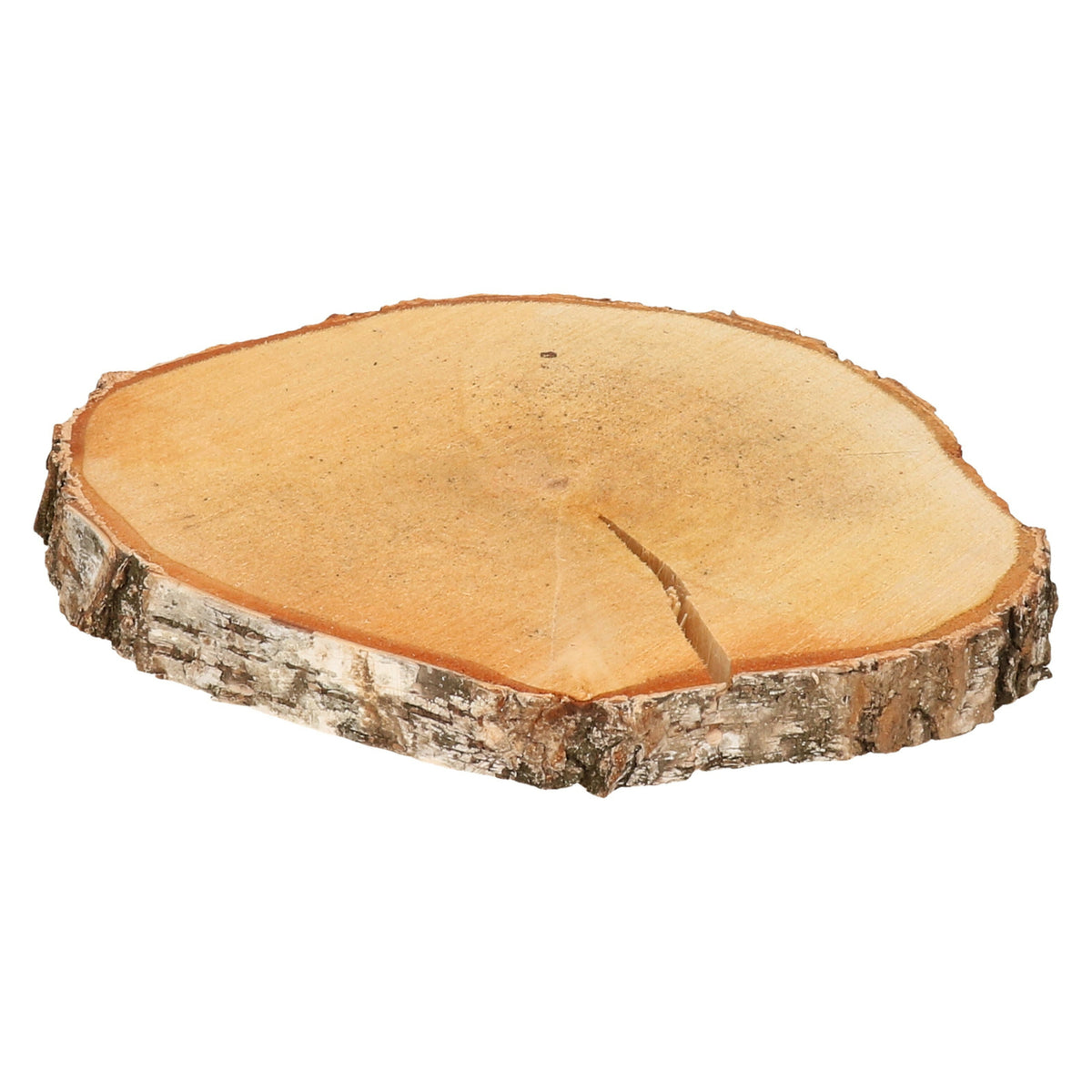 decoratie-boomschijf-met-schors-hout-d45-cm-rond-hobby-boomschors-schijf_10414927-2