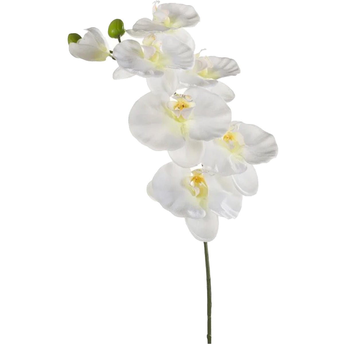kunstbloem-orchidee-80-cm-wit-losse-tak-kunst-zijdebloem-phalaenopsis_10433935