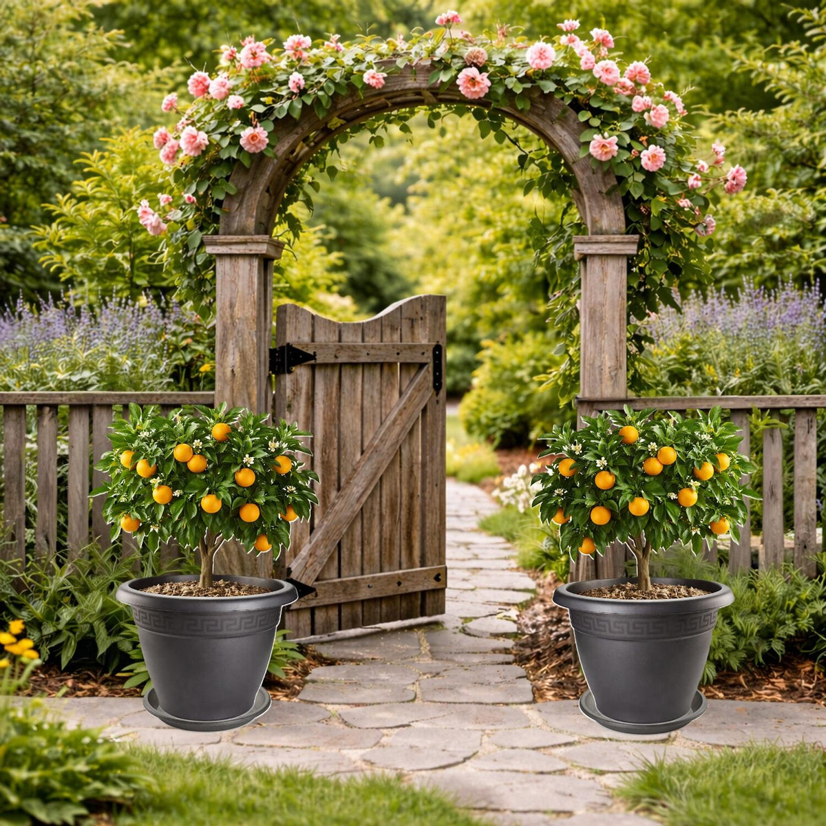 plasticforte-plantenpot-met-opvang-schaal-antraciet-rond-d50-x-h40-cm-kunststof-tuin_10490954-1