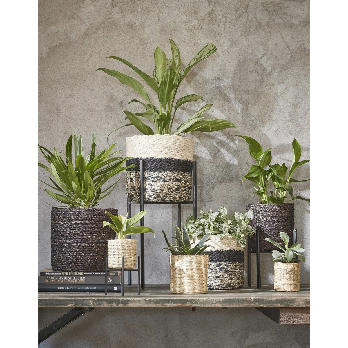 naturel-zwart-rotan-planten-pot-mand-van-gedraaid-jute-riet-h18-en-d18-cm_10275960-2