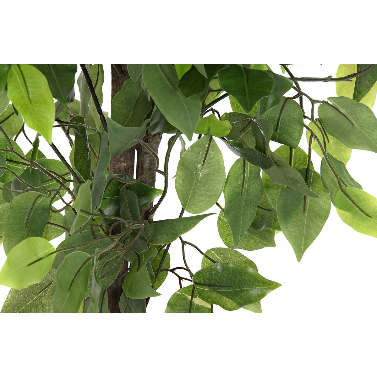 kunstplant-ficus-in-bloempot-groen-50-x-90-cm_10386966-2