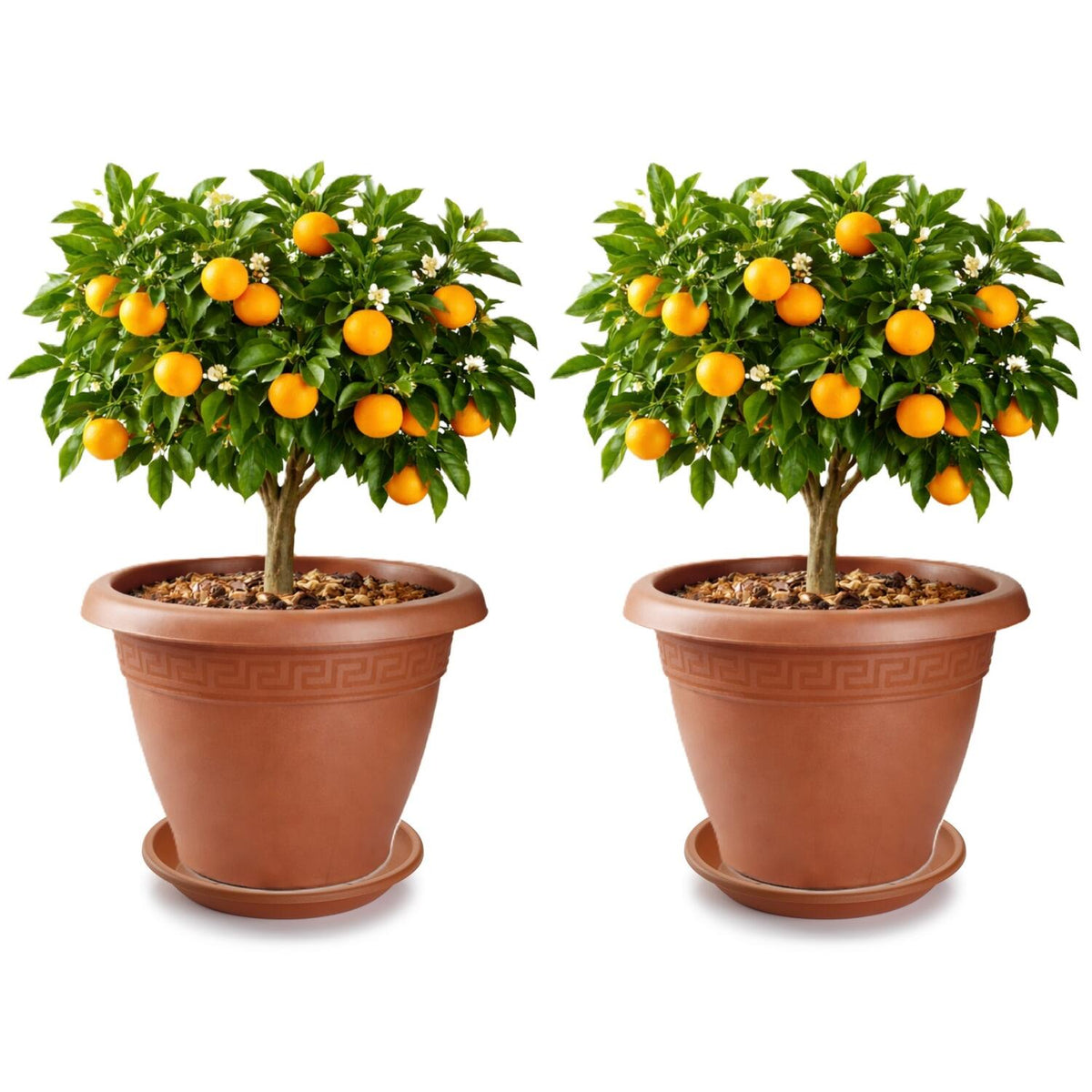 plasticforte-2x-plantenpot-met-opvang-schaal-terracotta-rond-d50-x-h40-cm-kunststof-tuin_10490968