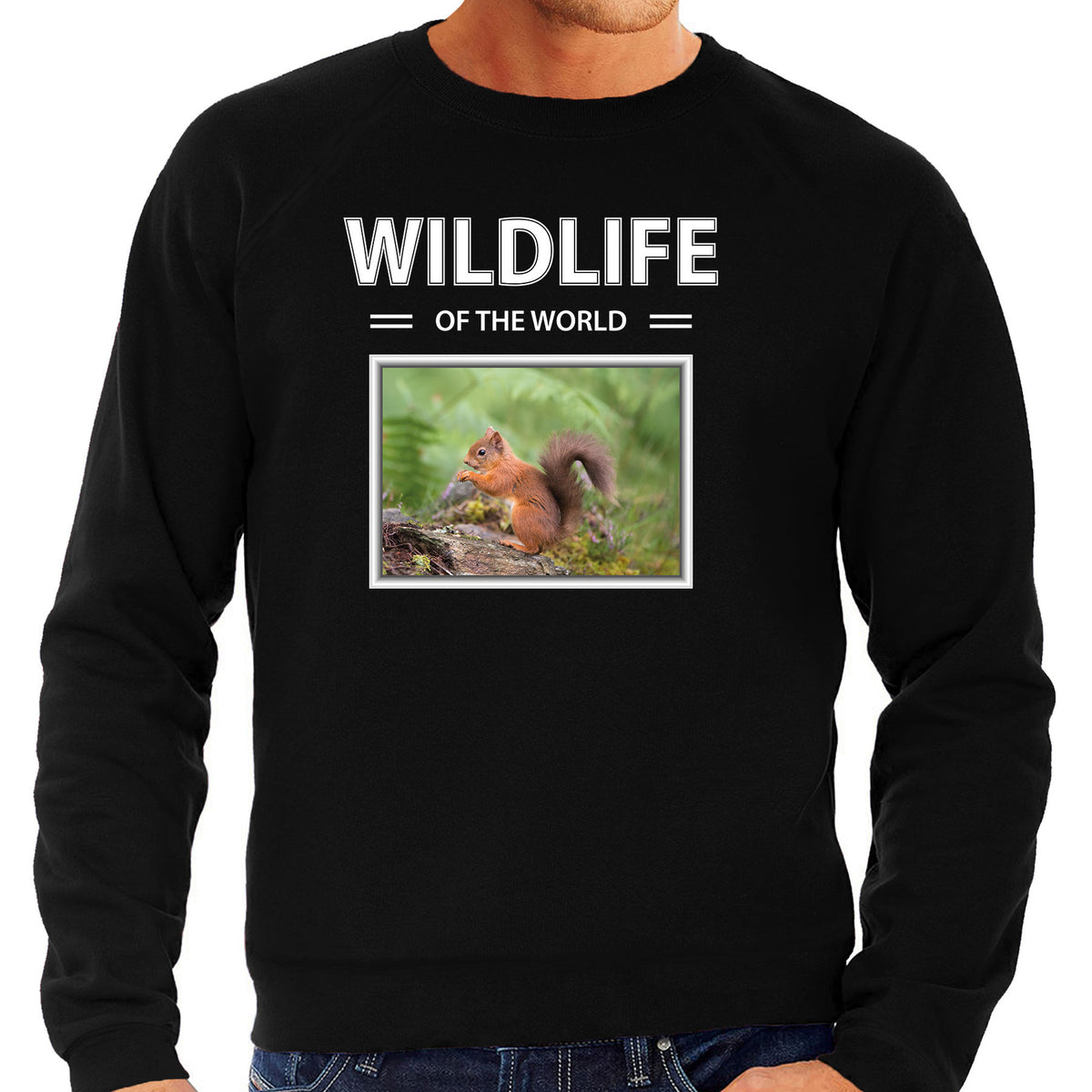 eekhoorn-sweater--trui-met-dieren-foto-wildlife-of-the-world-zwart-voor-heren_10264978